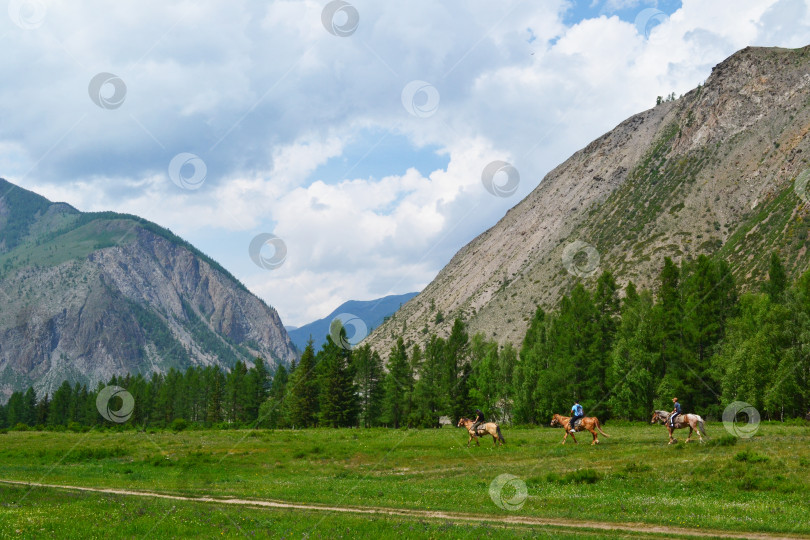 Скачать Горный Алтай, Россия, дорога в горах, катание на лошадях, туристы верхом на лошадях, отдых на природе, вдали от цивилизации фотосток Ozero