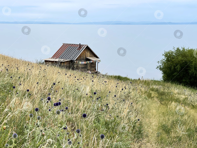 Скачать Одинокая хижина на берегу озера Байкал, Россия фотосток Ozero