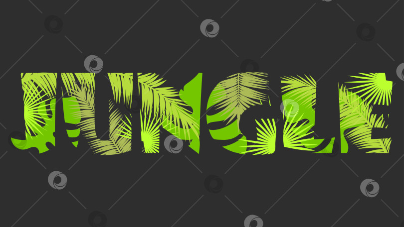Скачать Абстрактная надпись "джунгли" с пальмовыми листьями. фотосток Ozero