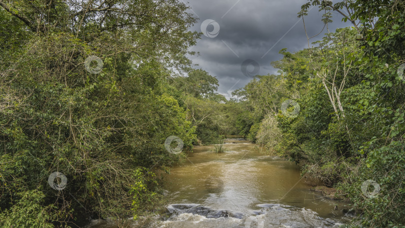 Скачать Река Игуасу протекает через тропический лес. фотосток Ozero