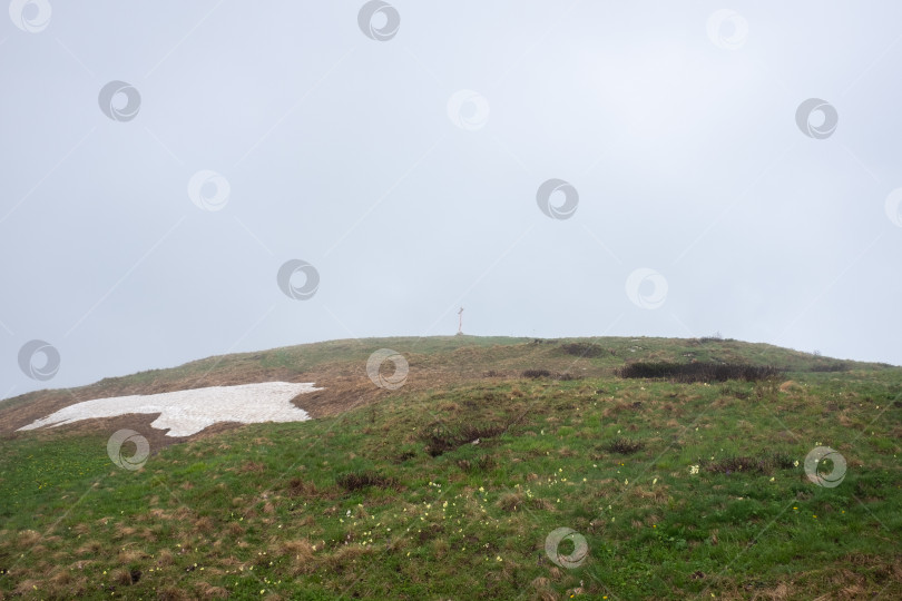 Скачать Альпийские луга фотосток Ozero