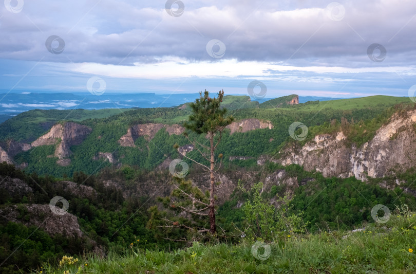 Скачать Альпийские луга фотосток Ozero