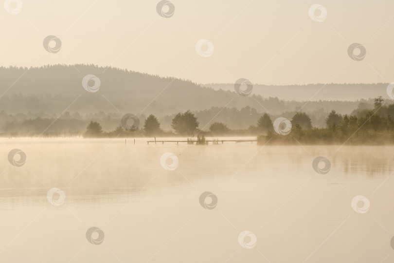 Скачать туманное утро на реке и лес вдалеке фотосток Ozero