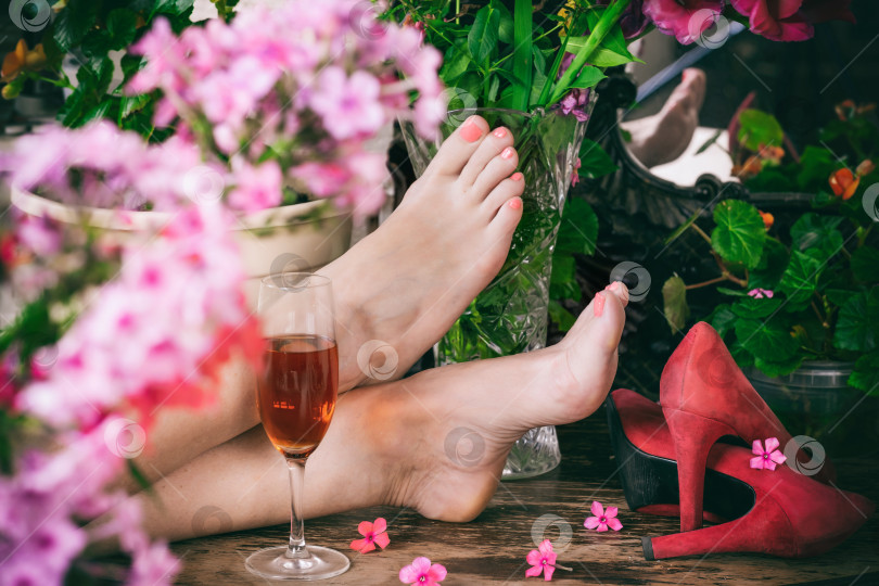 Скачать женские босые ноги на деревянном столе рядом с бокалом вина, красные туфли и цветы фотосток Ozero