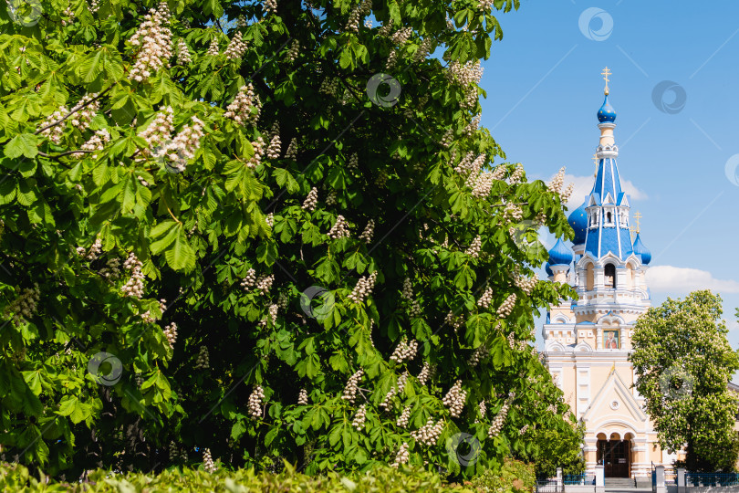 Скачать Вид на православную церковь весной фотосток Ozero