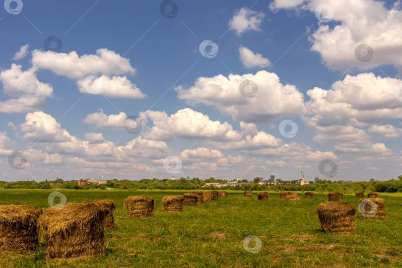 Скачать зеленое поле с тюками сена под голубым небом фотосток Ozero