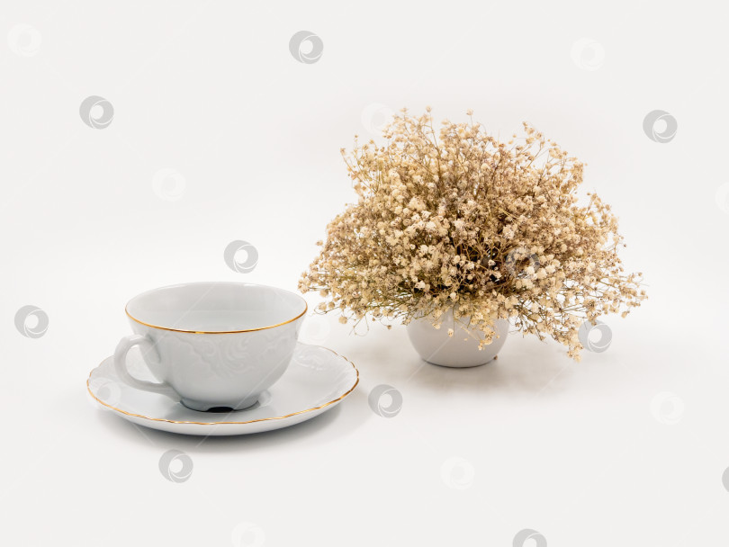 Скачать Композиция из белого фарфора для чаепития на светло-белом фоне с нежным букетом сухоцветов. фотосток Ozero