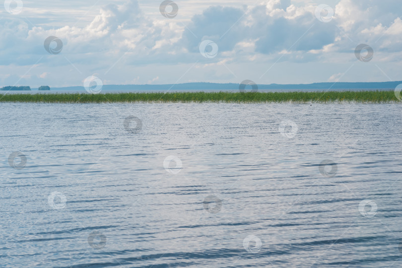 Скачать естественный водный пейзаж, обширное мелководное озеро с заросшими тростником берегами в дождливый день фотосток Ozero