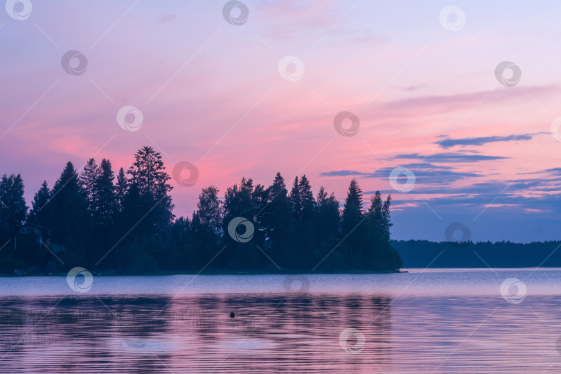 Скачать природный ландшафт, белая ночь над широким северным озером фотосток Ozero