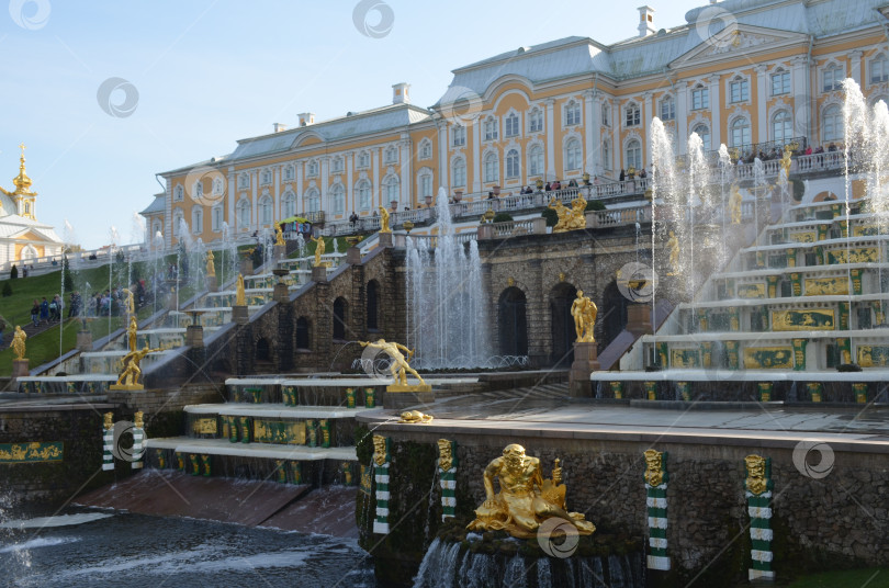 Скачать Петергоф, Санкт-Петербург, Россия - 09.25.2020: Большой каскад и Большой Дворец Петергоф фотосток Ozero