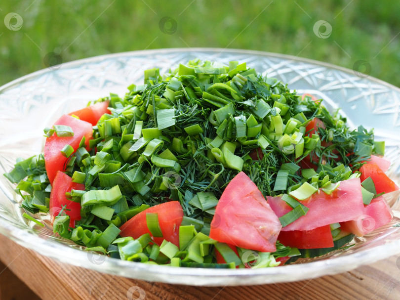 Скачать Летний салат с зеленым луком , укропом и помидорами. фотосток Ozero