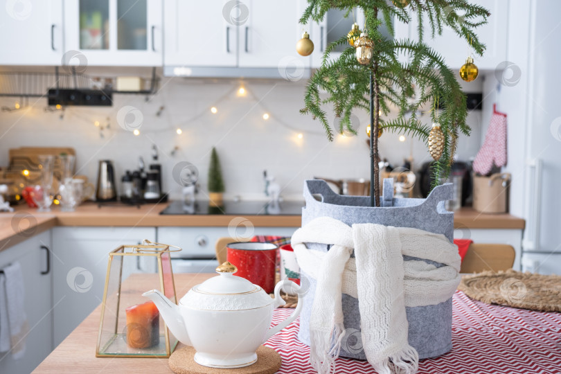 Скачать Праздничный рождественский декор на белой кухне, праздничный завтрак, белый скандинавский интерьер. Араукарию, как рождественскую елку, украшают и заворачивают в шарф и войлочные кашпо. Новый год, настроение, уютный дом фотосток Ozero