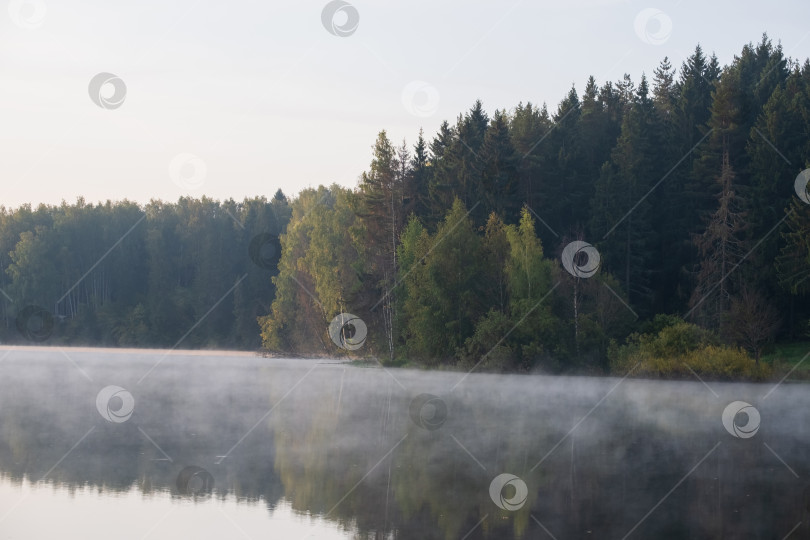 Скачать раннее утро с туманом на озере в лесу фотосток Ozero