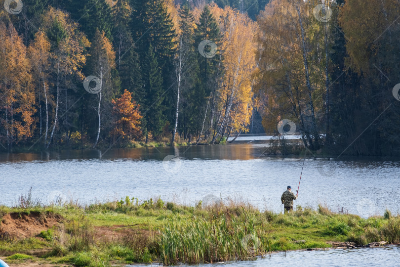 Скачать озеро в лесу осенним днем фотосток Ozero