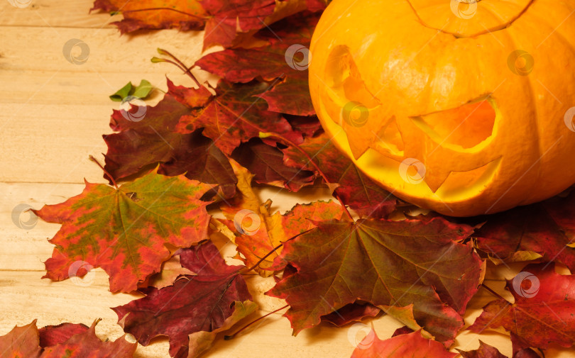 Скачать резная тыква на Хэллоуин с кленовыми листьями на столе фотосток Ozero