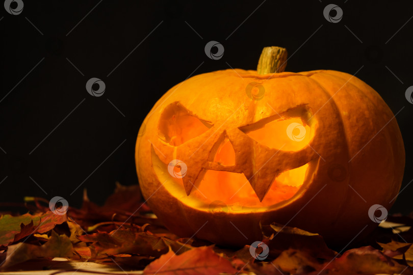 Скачать вырезанная тыква для Хэллоуина на черном фотосток Ozero