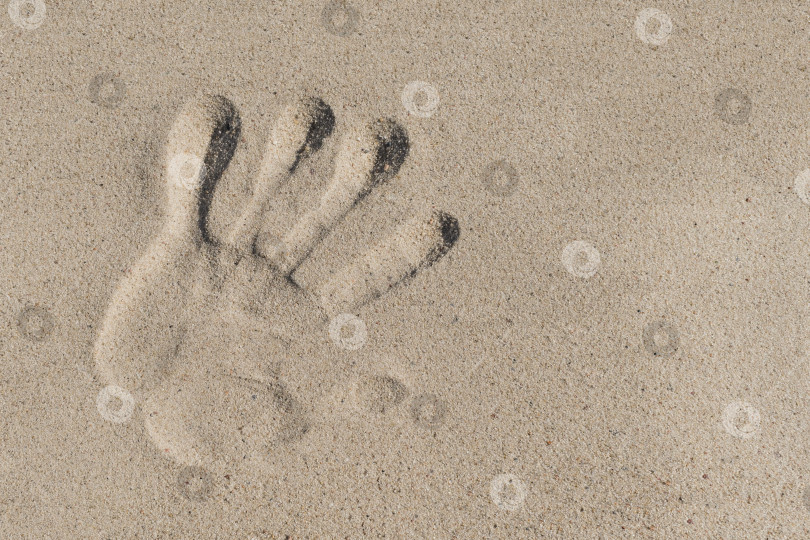 Скачать Отпечаток руки на речном песке фотосток Ozero