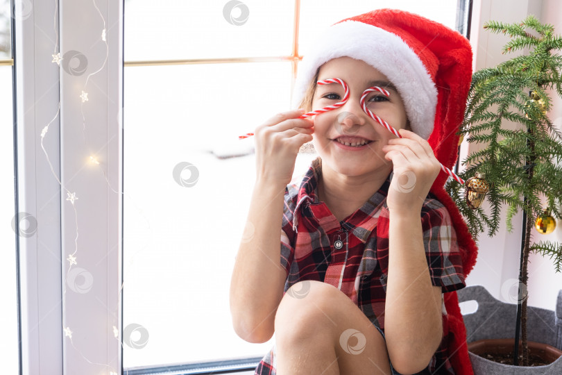 Скачать Девочка в шляпе Санты сидит на подоконнике дома рядом с рождественской елкой и прикладывает леденцовую палочку к глазам, как очки. Ребенок веселится и корчит рожицы, ожидая Рождества и Нового года фотосток Ozero