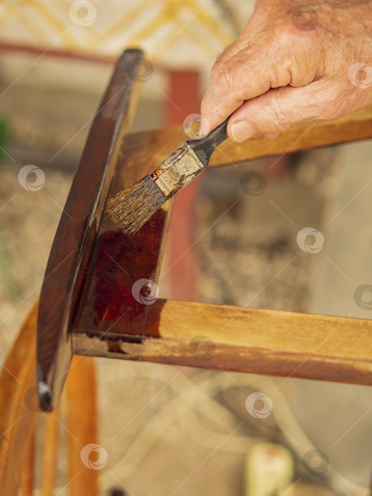 Скачать Реставрация старой мебели. Морщинистая рука пожилого человека с кистью наносит лак на деревянную поверхность стула фотосток Ozero