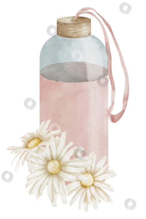 Скачать Бутылка для воды с цветами маргаритки. Нарисованная от руки акварельная иллюстрация розовой стеклянной банки многоразового использования на белом изолированном фоне. Рисунок напитка с ромашкой для иконы. Женственный цветочный эскиз фотосток Ozero