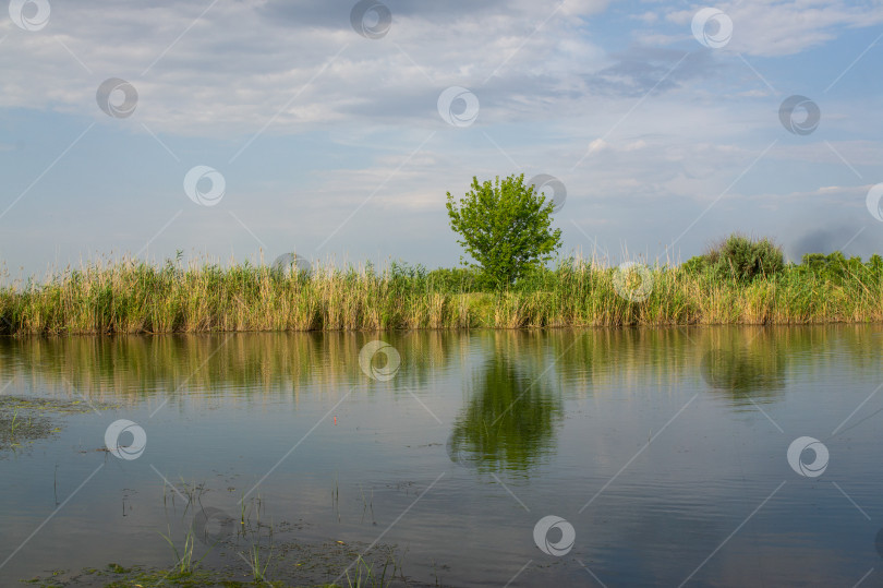 Скачать Река фотосток Ozero