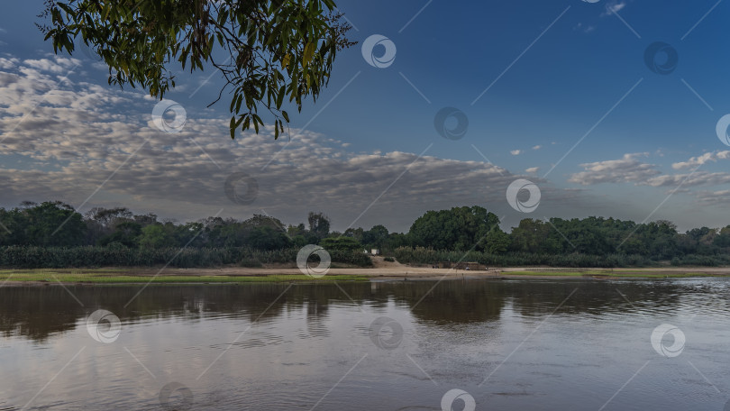 Скачать Зеленая растительность растет на берегу спокойной реки. фотосток Ozero