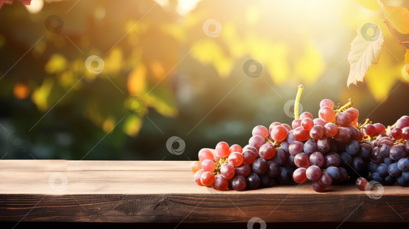 Скачать Сбор спелого винограда и пустой деревянный стол на фоне сельской местности. Выборочный акцент на столешнице. Иллюстрация генеративного искусственного интеллекта фотосток Ozero