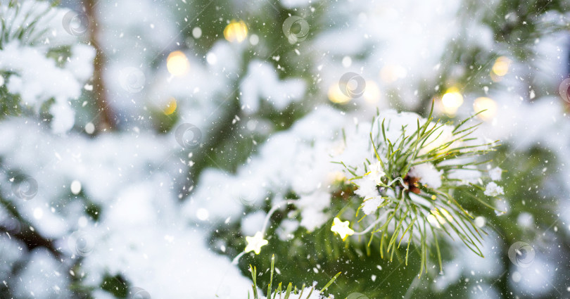 Скачать Рождественская елочная ветка из натуральной сосны в снегу, в огнях гирлянд и боке. Новый год на открытом воздухе. Снегопад, огни гирлянд, праздничное настроение сказки и волшебства, уличное убранство. Пространство для копирования фотосток Ozero