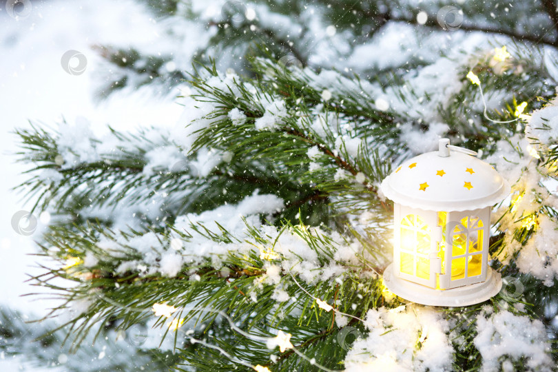 Скачать Рождественский фонарь с окошками на ветке натуральной ели в снегу. Новый год на открытом воздухе. Снегопад, огни гирлянд, праздничное настроение сказки и волшебства, уличное убранство. Пространство для копирования фотосток Ozero