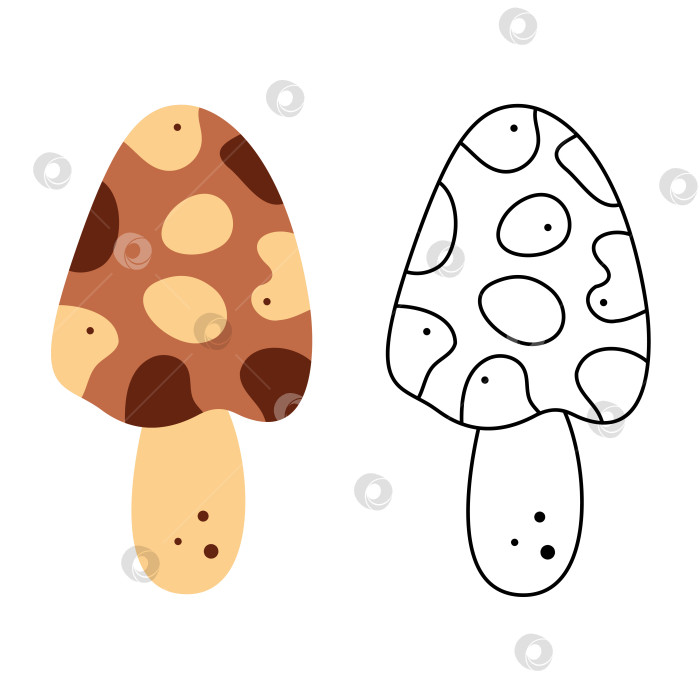 Скачать Небольшой набор с абстрактным грибом-сморчком. Черно-белая и цветная векторная иллюстрация клипарта. фотосток Ozero