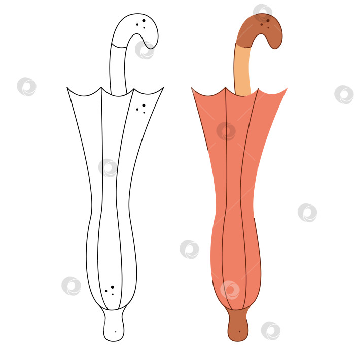 Скачать Сложенный зонт. Черно-белая и цветная векторная иллюстрация клипарта. фотосток Ozero