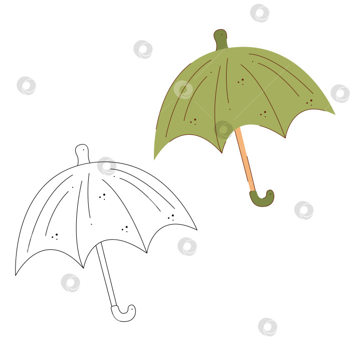 Скачать Зеленый зонт. Черно-белая и цветная векторная иллюстрация клипарта. фотосток Ozero