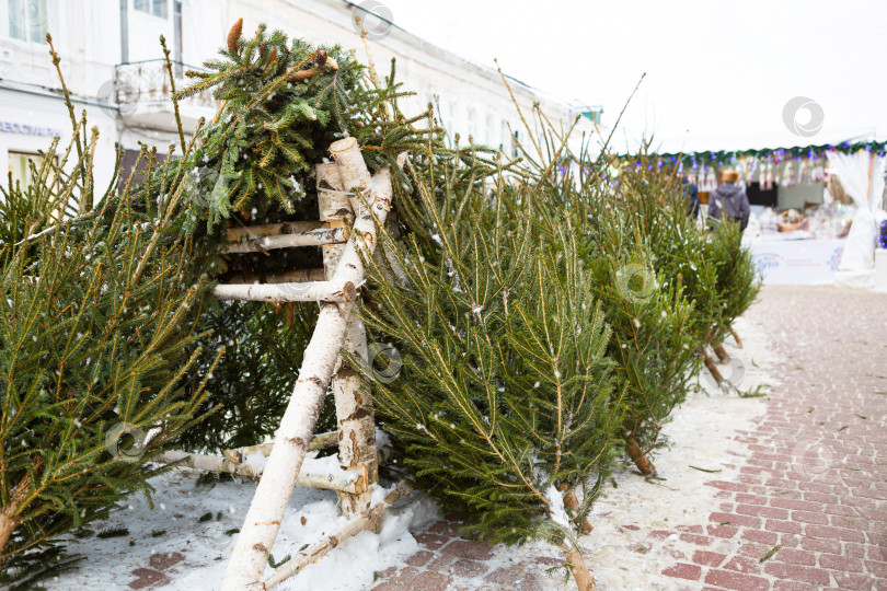 Скачать Рождественская ярмарка с живыми рождественскими елками на улице города. Продается новогоднее настроение, снег, срезанные ели и хвойные деревья, аромат смолы и хвои. Рождество, Новый год. фотосток Ozero