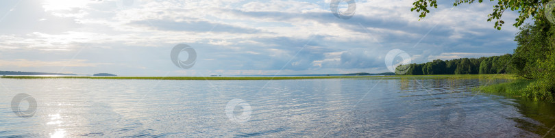 Скачать природный ландшафт, панорама обширного озера с заросшими тростником берегами фотосток Ozero