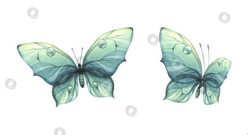 Скачать Летящие голубые, бирюзовые бабочки с красивым рисунком на крыльях. Акварельная иллюстрация, нарисованная от руки. Набор изолированных объектов на белом фоне фотосток Ozero