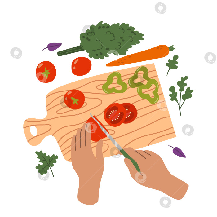 Скачать Домашнее консервирование. Руками нарежьте овощи ножом на разделочной доске. Помидоры, морковь, перец, зелень. Процесс приготовления пищи. Красочная плоская векторная иллюстрация. фотосток Ozero