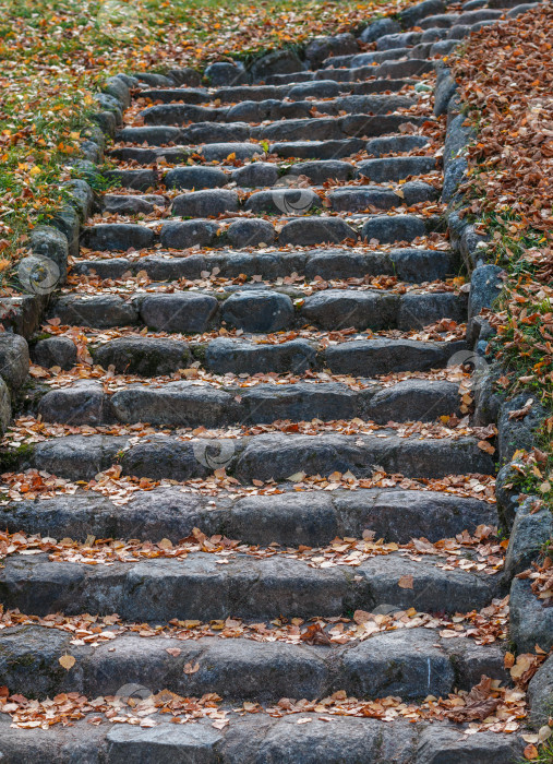Скачать Старая каменная лестница, ведущая наверх.  Осенью на ступеньках лежат опавшие листья. Избирательный фокус фотосток Ozero