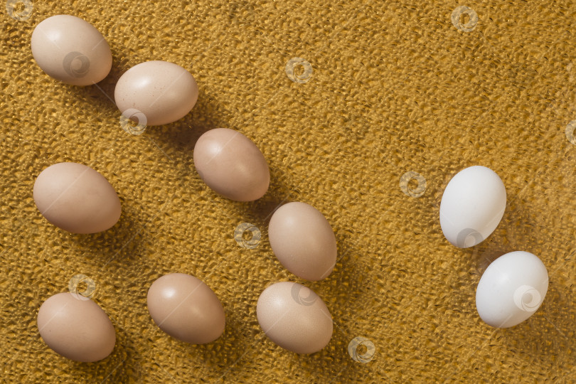 Скачать Несколько яиц на ярком фоне фотосток Ozero
