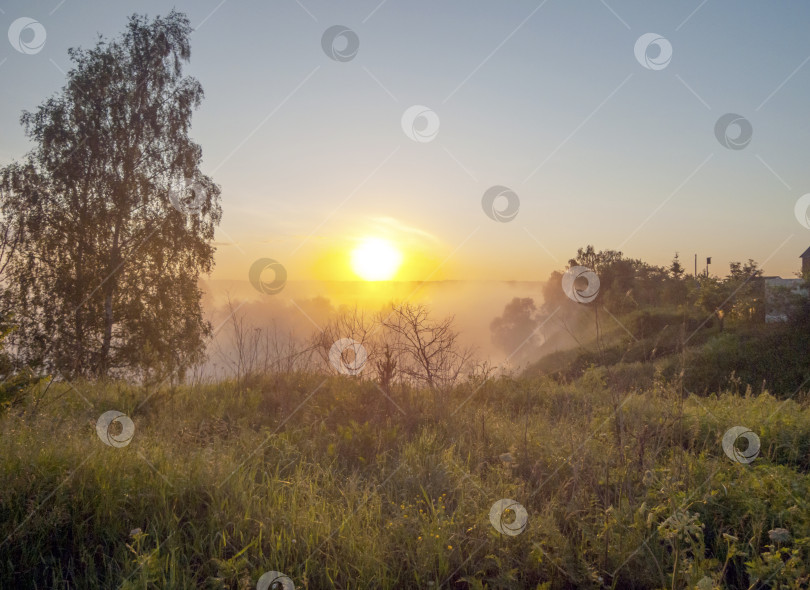 Скачать Июньское утро на реке Клязьме фотосток Ozero