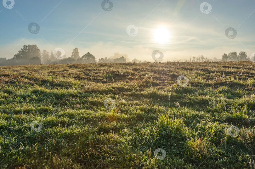 Скачать Жаркое утро августа фотосток Ozero