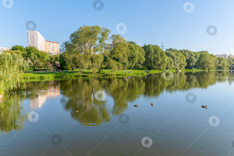 Скачать На берегу пруда фотосток Ozero