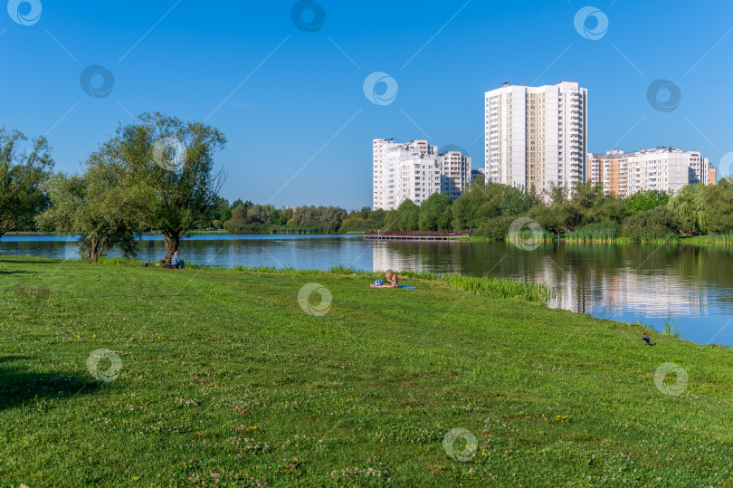 Скачать На берегу пруда фотосток Ozero