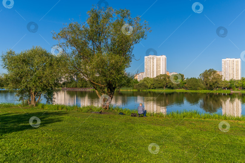 Скачать На берегу пруда фотосток Ozero