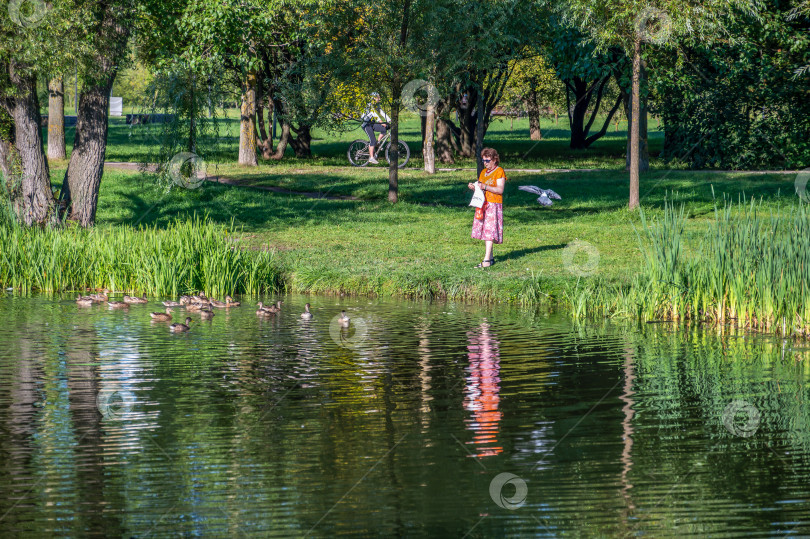 Скачать Покормить уточек на пруду фотосток Ozero