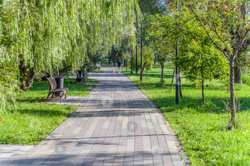 Скачать Аллея в парке фотосток Ozero