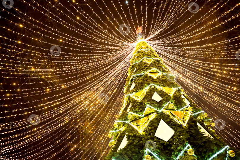 Скачать Высокая городская рождественская елка в парке с шапкой из разноцветных гирлянд, светящаяся ночью на улице. Рождество, новый год, украшение города. Калуга, Россия фотосток Ozero