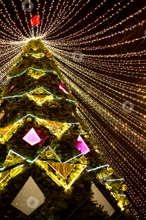Скачать Высокая городская рождественская елка в парке с шапкой из разноцветных гирлянд, светящаяся ночью на улице. Рождество, новый год, украшение города. Калуга, Россия фотосток Ozero