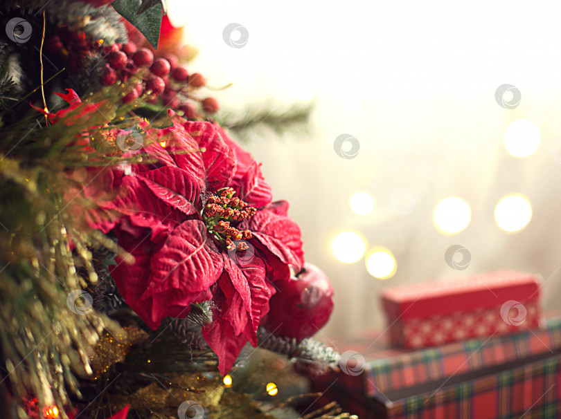 Скачать Красный декор на рождественской елке из яблок и пуансеттий. Рождественский фон и рамка для нового года. Крупный план, праздничная елка с ягодами, сосульками, гирляндами. Пространство для текста фотосток Ozero