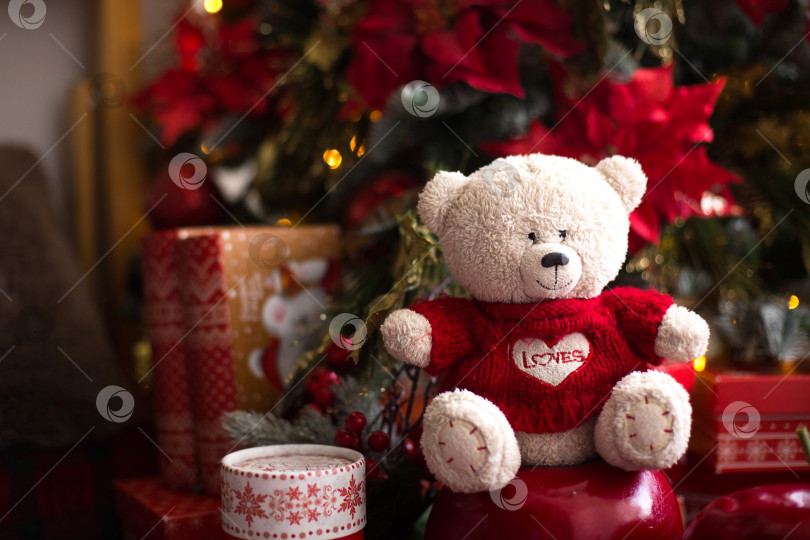 Скачать Белый плюшевый мишка в красном вязаном свитере с сердечком на груди и надписью Love возле рождественской елки среди подарочных коробок. Подарок любимой, признание в любви, декор из пуансеттии. Пространство для копирования фотосток Ozero