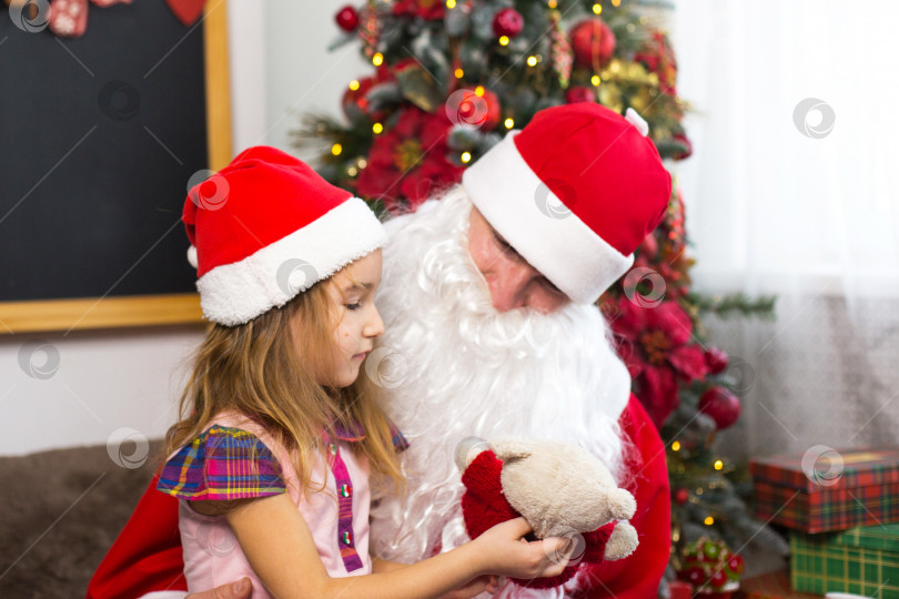 Скачать Маленькая девочка в шляпе Санты на коленях у Санты возле рождественской елки в рождественском декоре. Показывает коробку с подарком, мягкую игрушку, трогает свою бороду и смеется. Новый год, русский дедушка Мороз фотосток Ozero